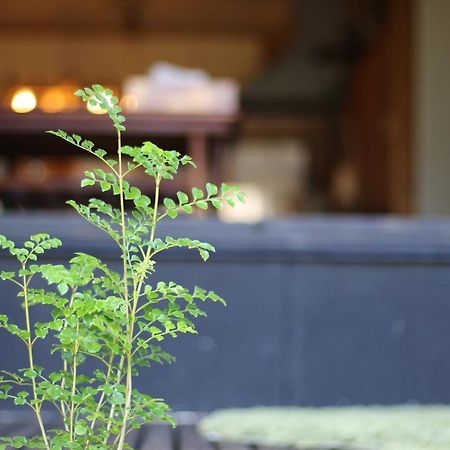 晴家 Guest House Fujikawaguchiko Exteriör bild
