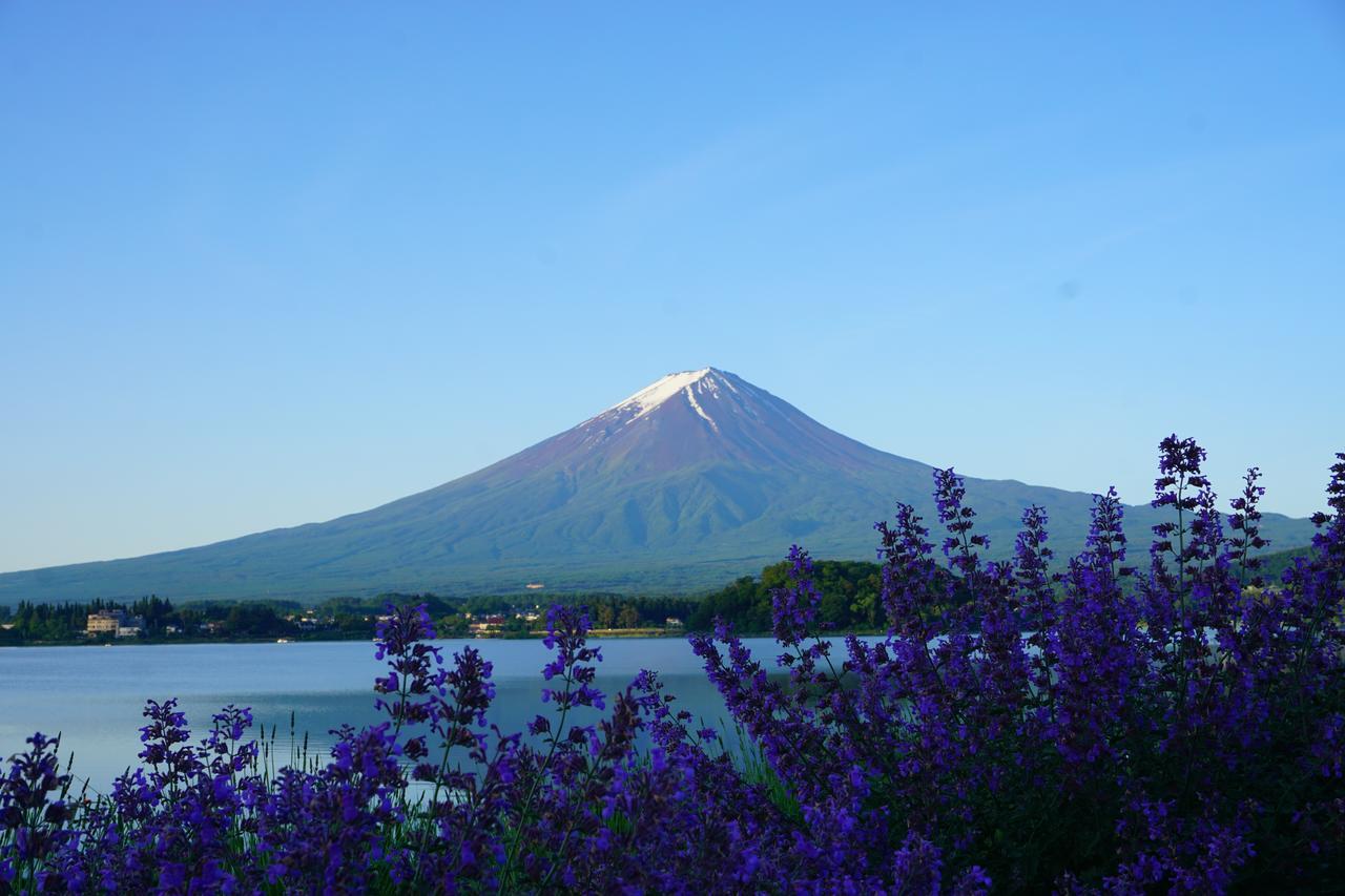 晴家 Guest House Fujikawaguchiko Exteriör bild